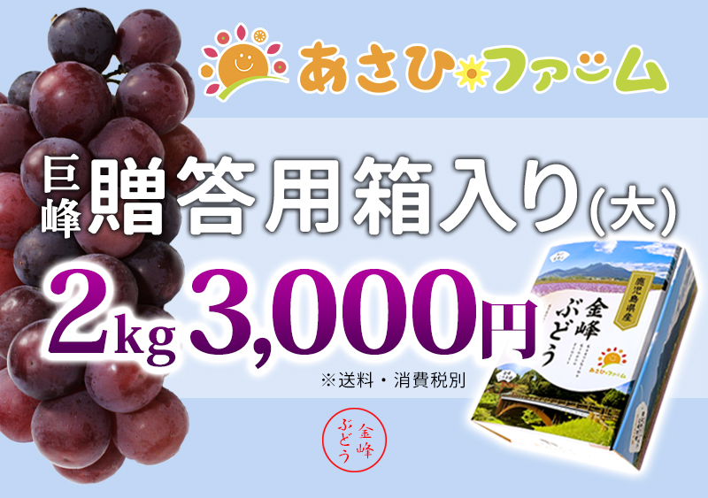 贈答用ぶどう2㎏