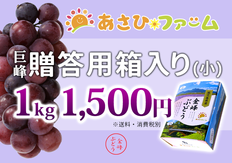 贈答用ぶどう1㎏
